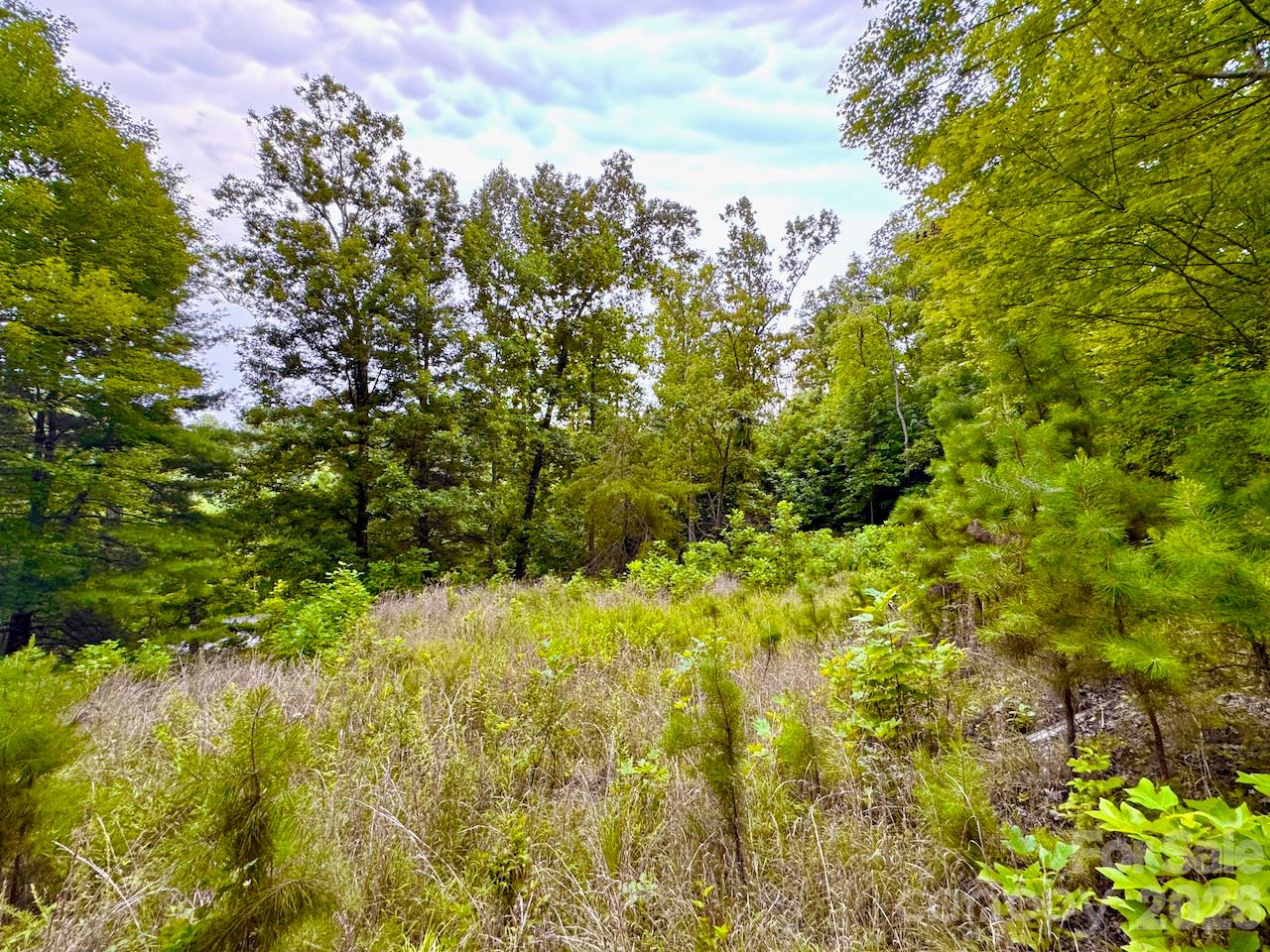 5th image of 120 Ben Lippen School Rd, Asheville, NC 28806 | MLS# 4401465