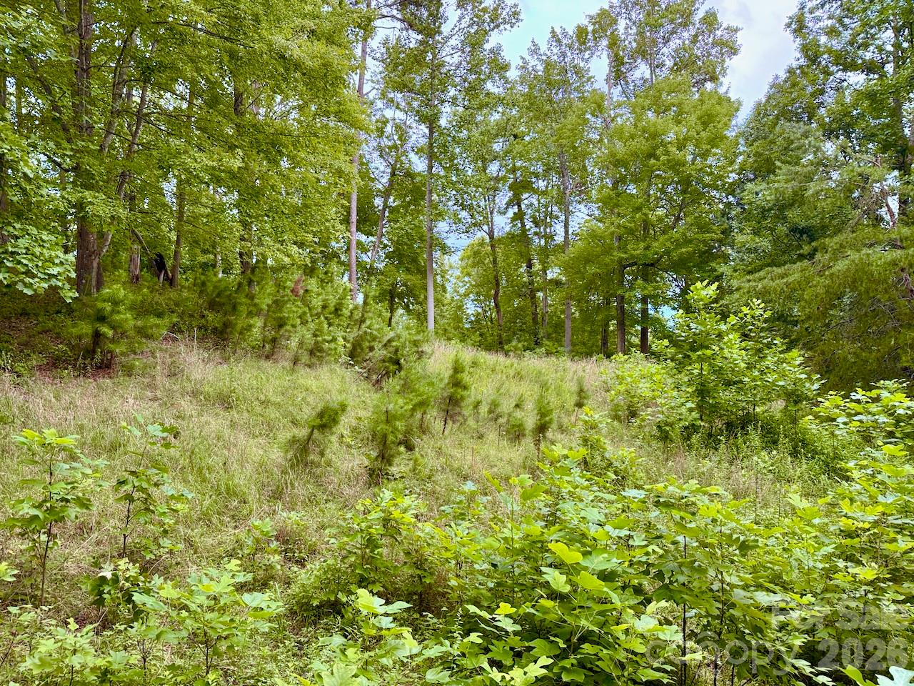 4th image of 120 Ben Lippen School Rd, Asheville, NC 28806 | MLS# 4401465
