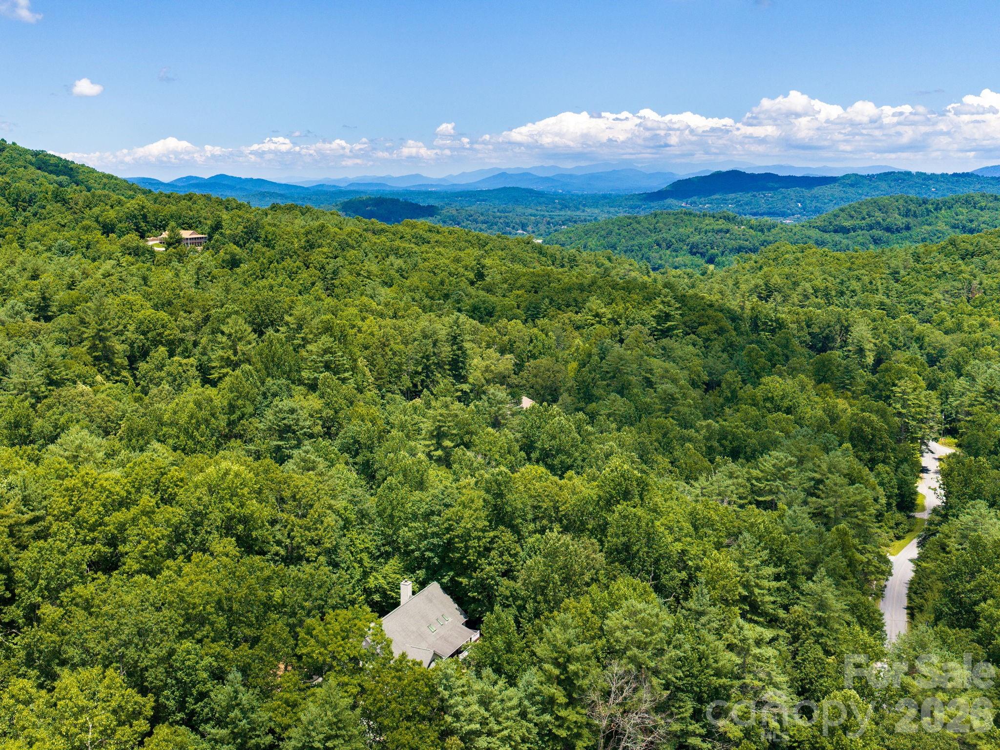 41st image of 49 Indian Ridge Trl, Hendersonville, NC 28739 | MLS# 4401659