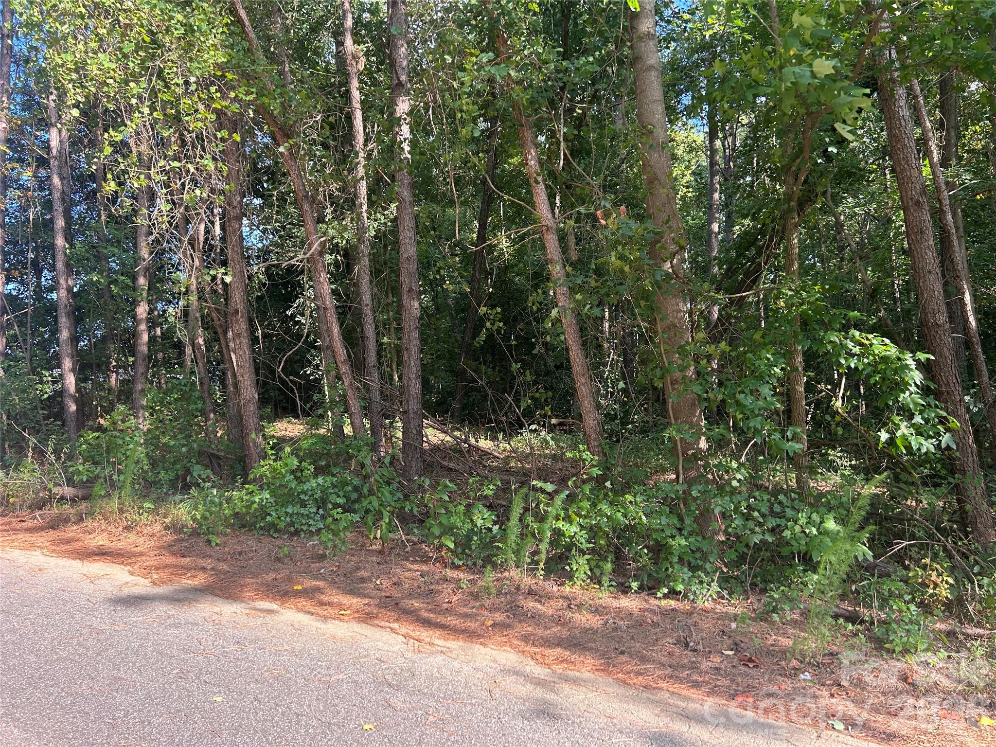 Homes for sale in Vale, NC | 00 Knottywood Ln #26, Vale, NC 28168 | MLS# 4402121