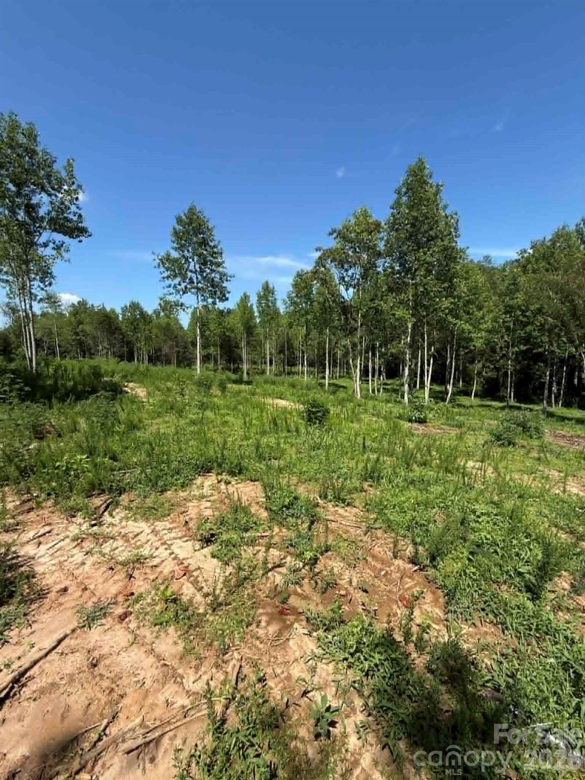 5th image of 2633 Sprouse Rd, Boonville, NC 27011 | MLS# 4402368