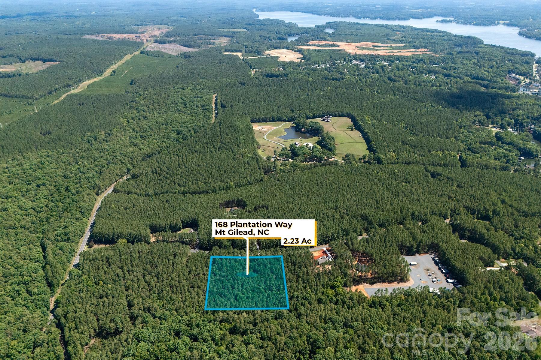 Homes for sale in Mount Gilead, NC | 168 Plantation Wy, Mount Gilead, NC 27306 | MLS# 4402486