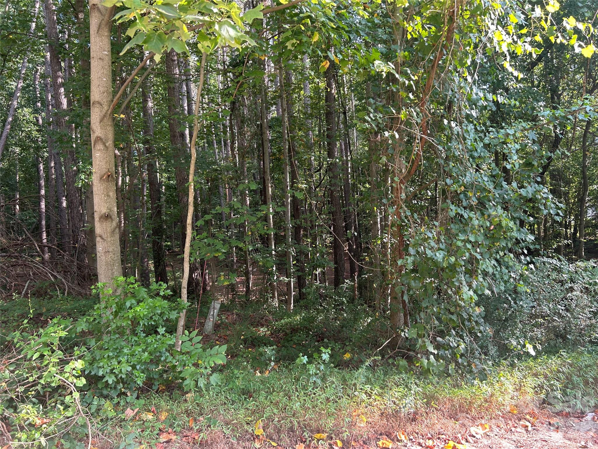 Homes for sale in Vale, NC | 00 Knottywood Ln #25, Vale, NC 28168 | MLS# 4402600