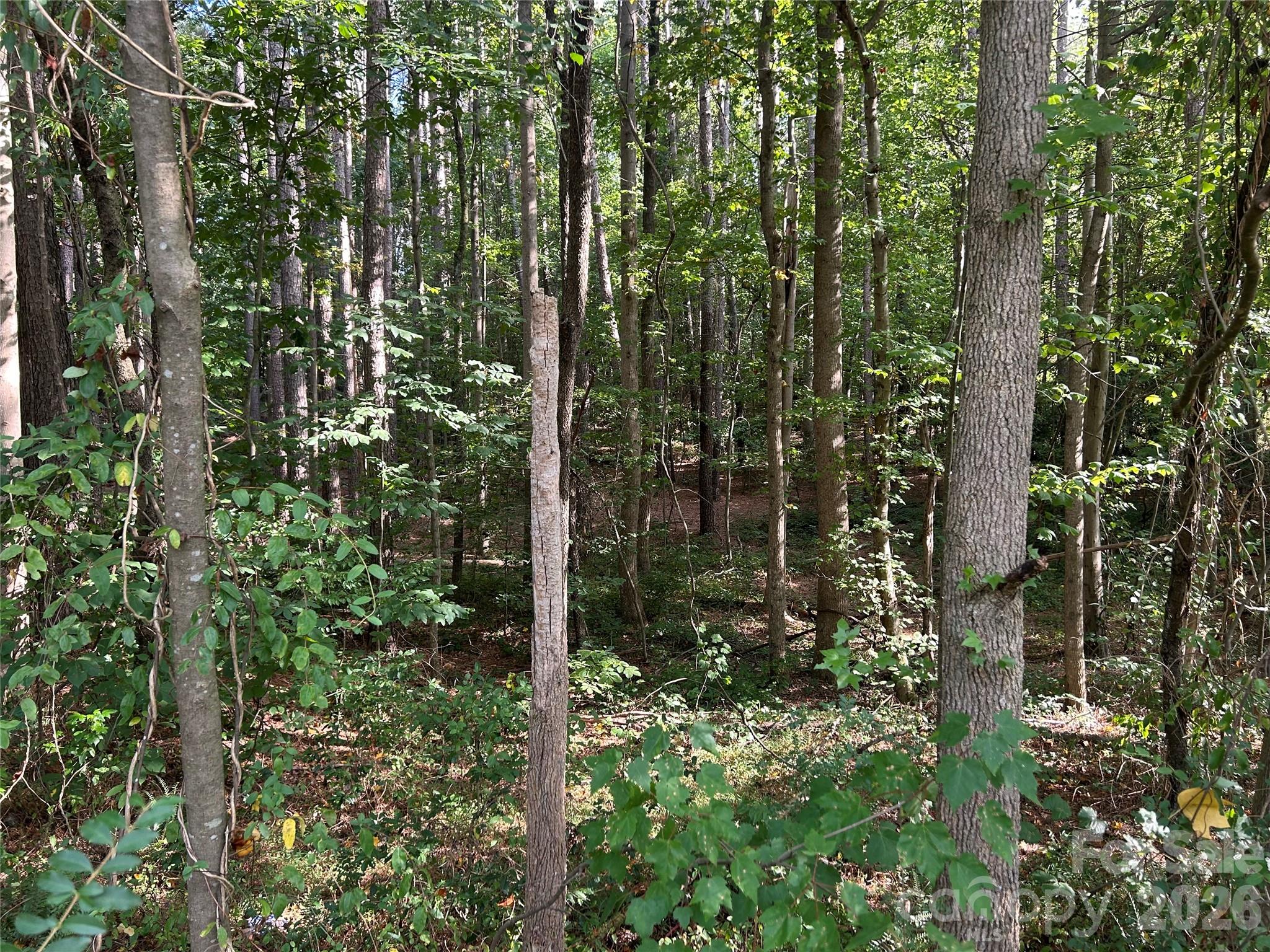 Homes for sale in Vale, NC | 00 Knottywood Ln #25, Vale, NC 28168 | MLS# 4402600