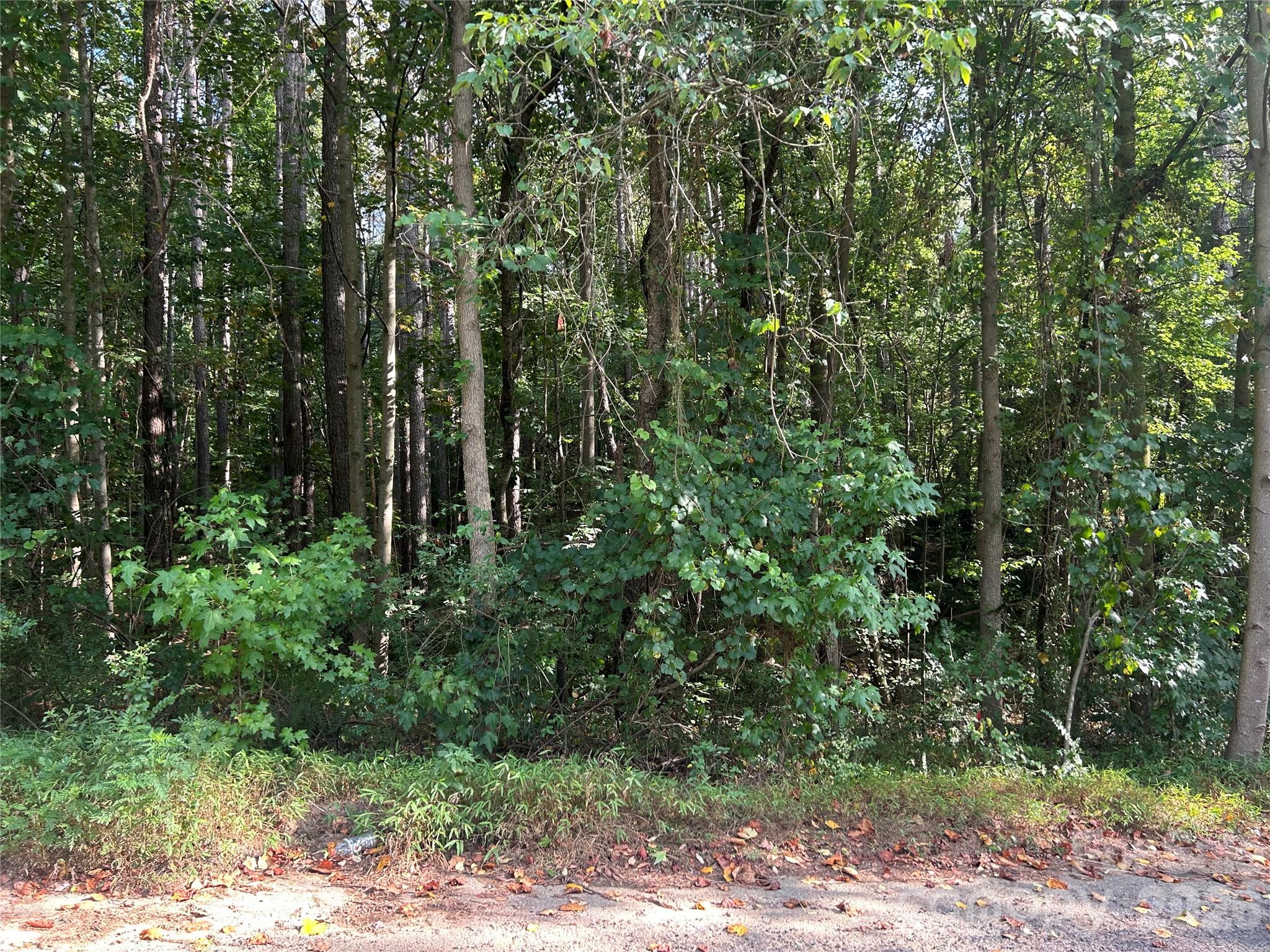 Homes for sale in Vale, NC | 00 Knottywood Ln #25, Vale, NC 28168 | MLS# 4402600