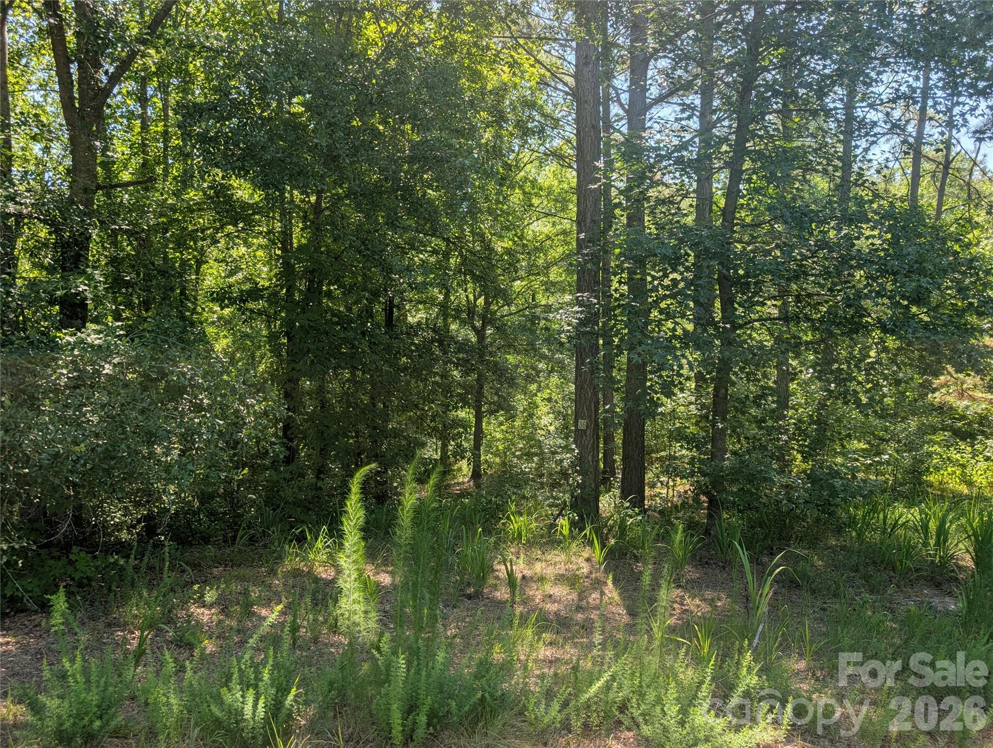 Homes for sale in Mooresboro, NC | 120 Scenic Ridge Dr #36, Mooresboro, NC 28114 | MLS# 4402653