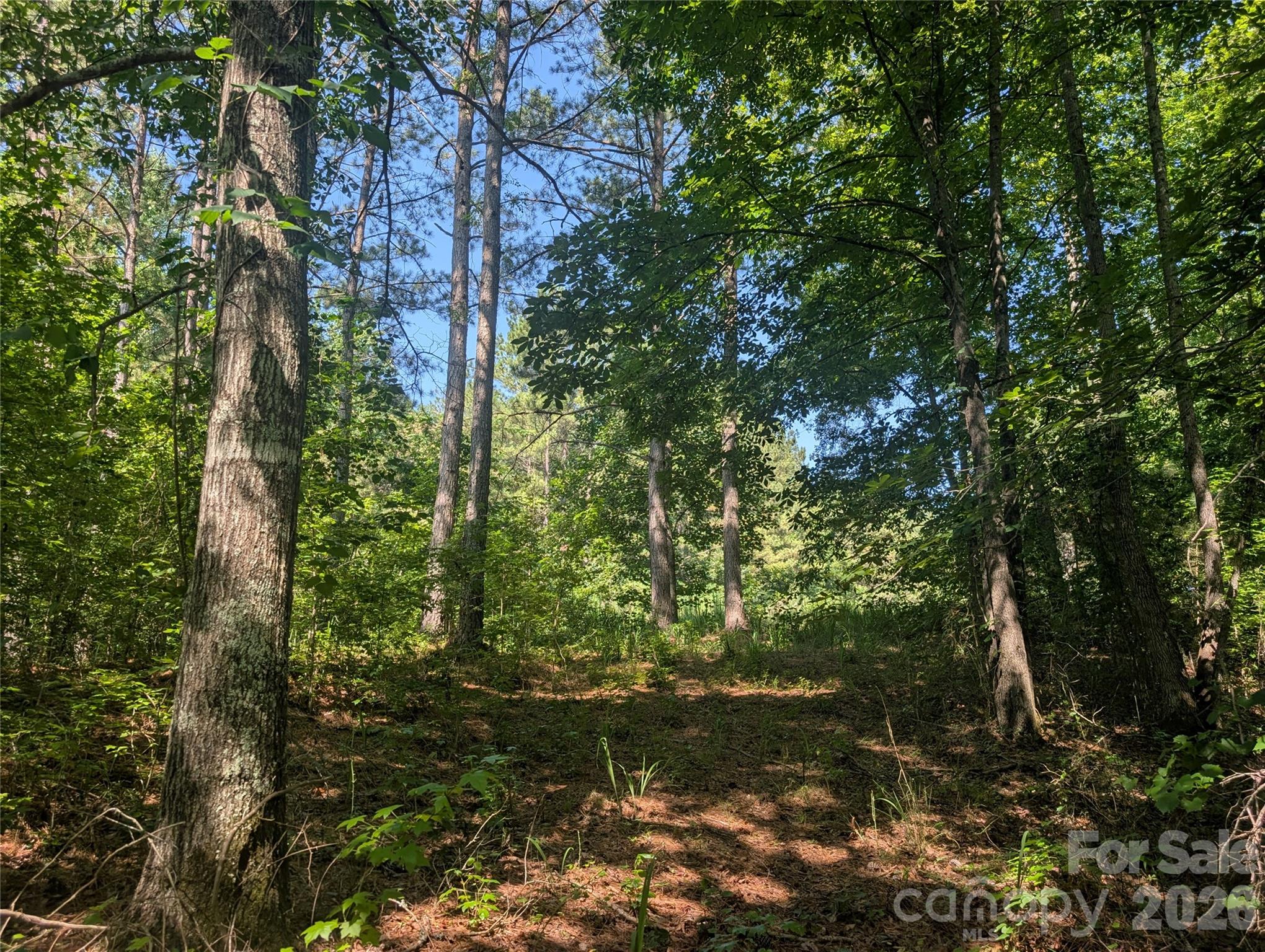 Homes for sale in Mooresboro, NC | 120 Scenic Ridge Dr #36, Mooresboro, NC 28114 | MLS# 4402653