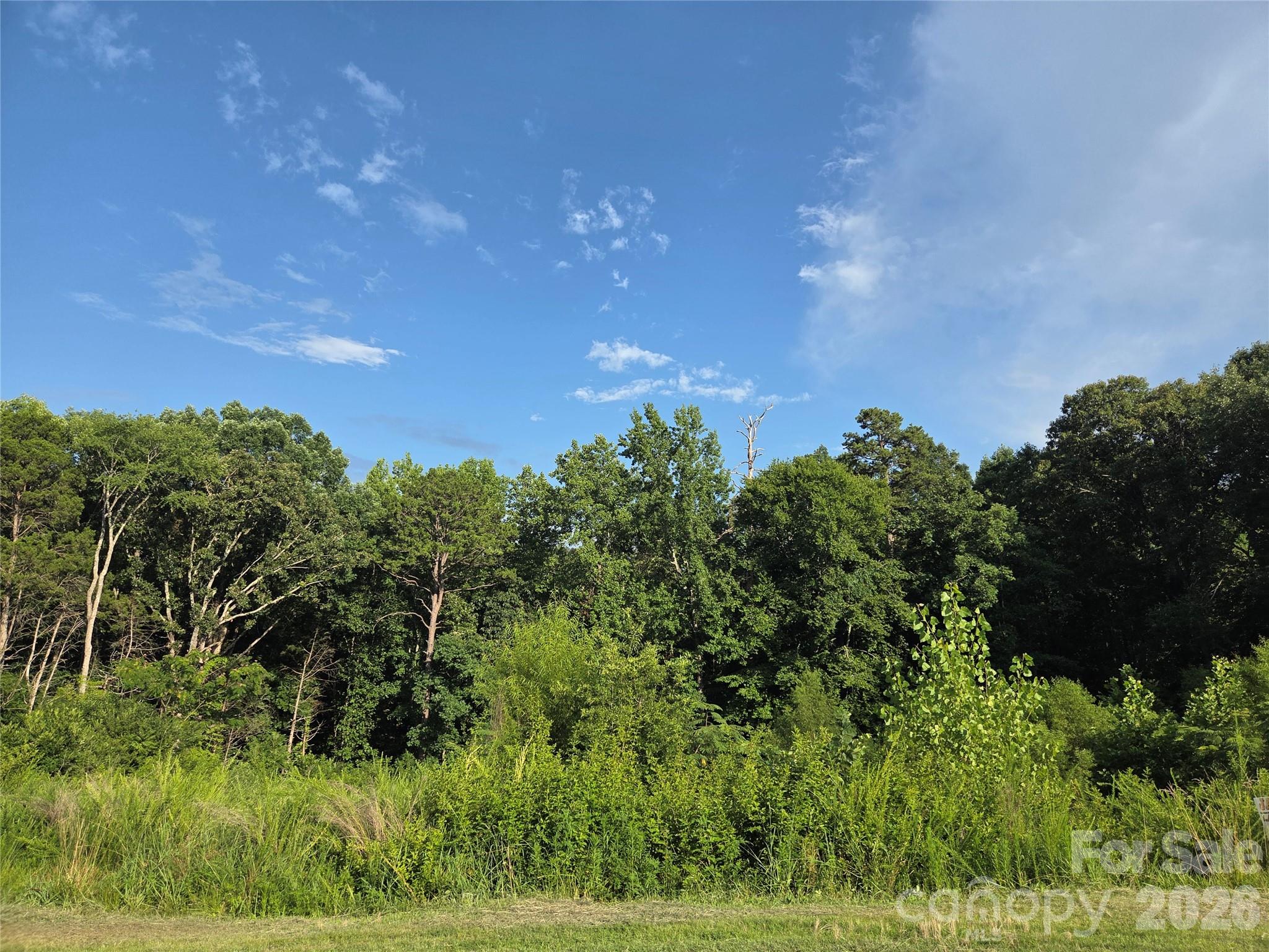 2nd image of 92 Se Mcarthur Ave Se, Concord, NC 28025 | MLS# 4402824