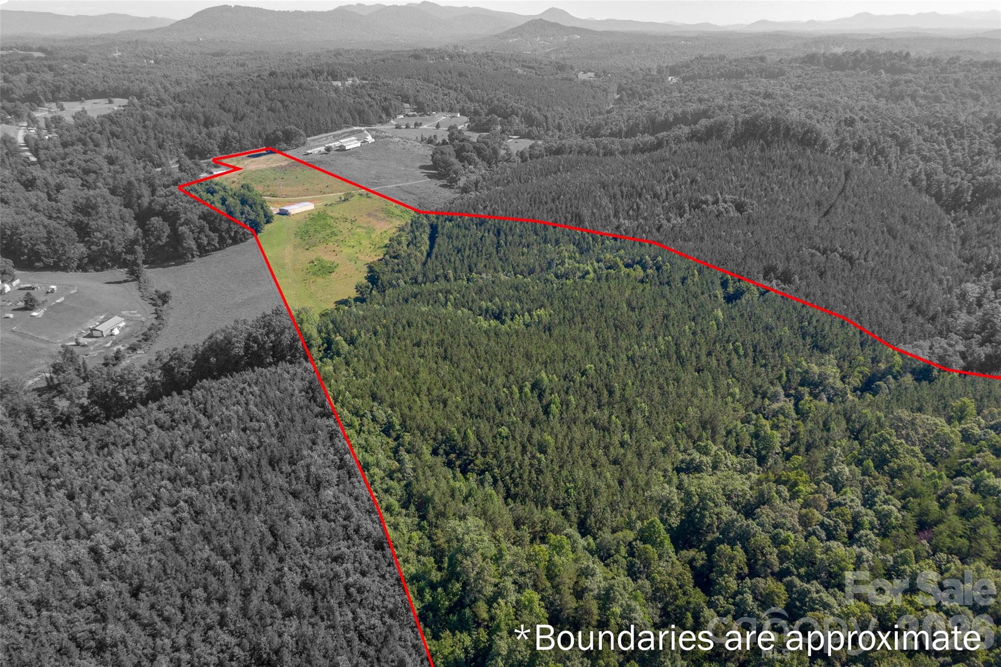 5th image of 83 Acres +/- Pleasant Grove Rd, Rutherfordton, NC 28139 | MLS# 4403273
