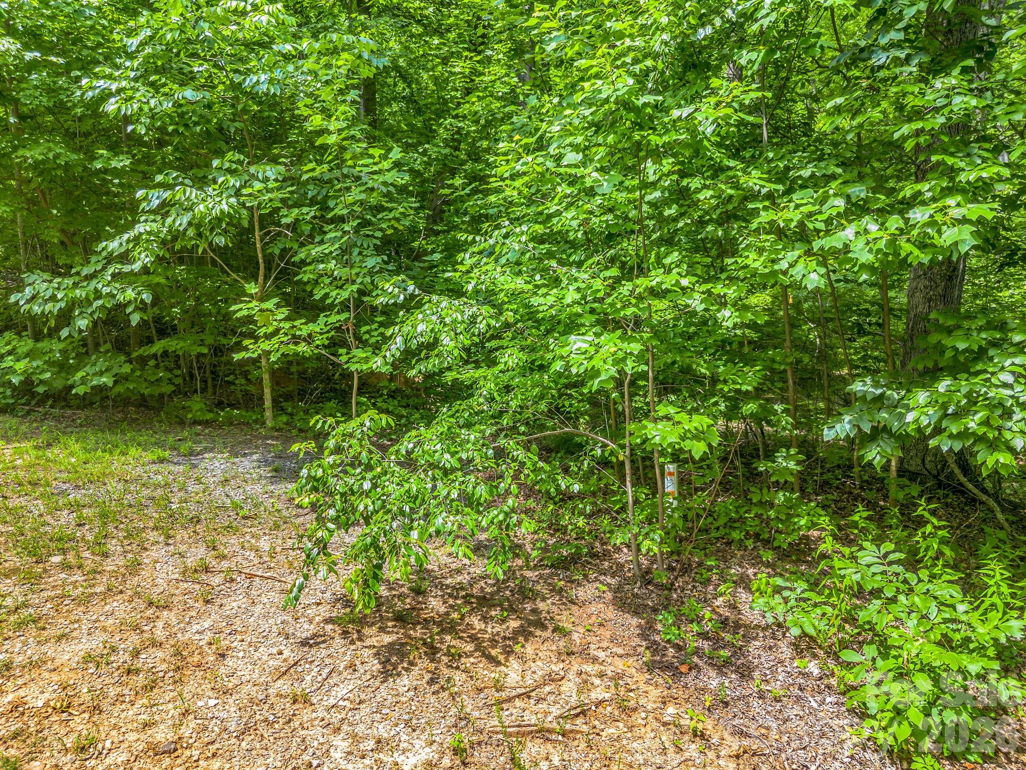 4th image of Lot 29 Matho Tr #29, Lake Lure, NC 28746 | MLS# 4403287