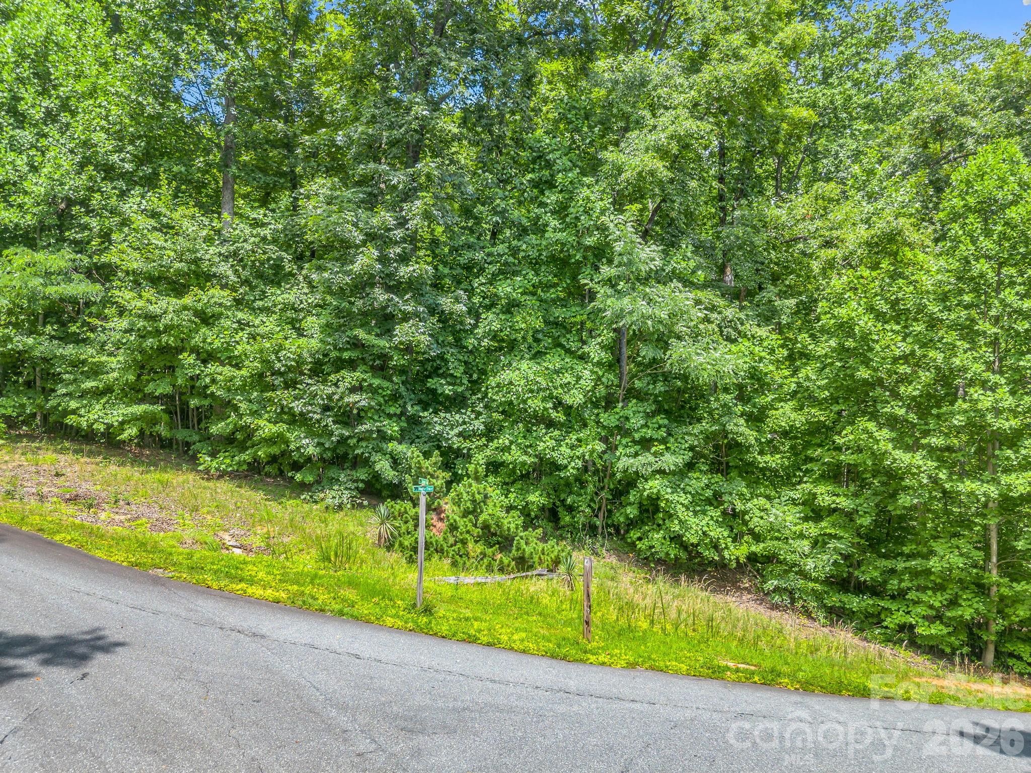 3rd image of Lot 29 Matho Tr #29, Lake Lure, NC 28746 | MLS# 4403287