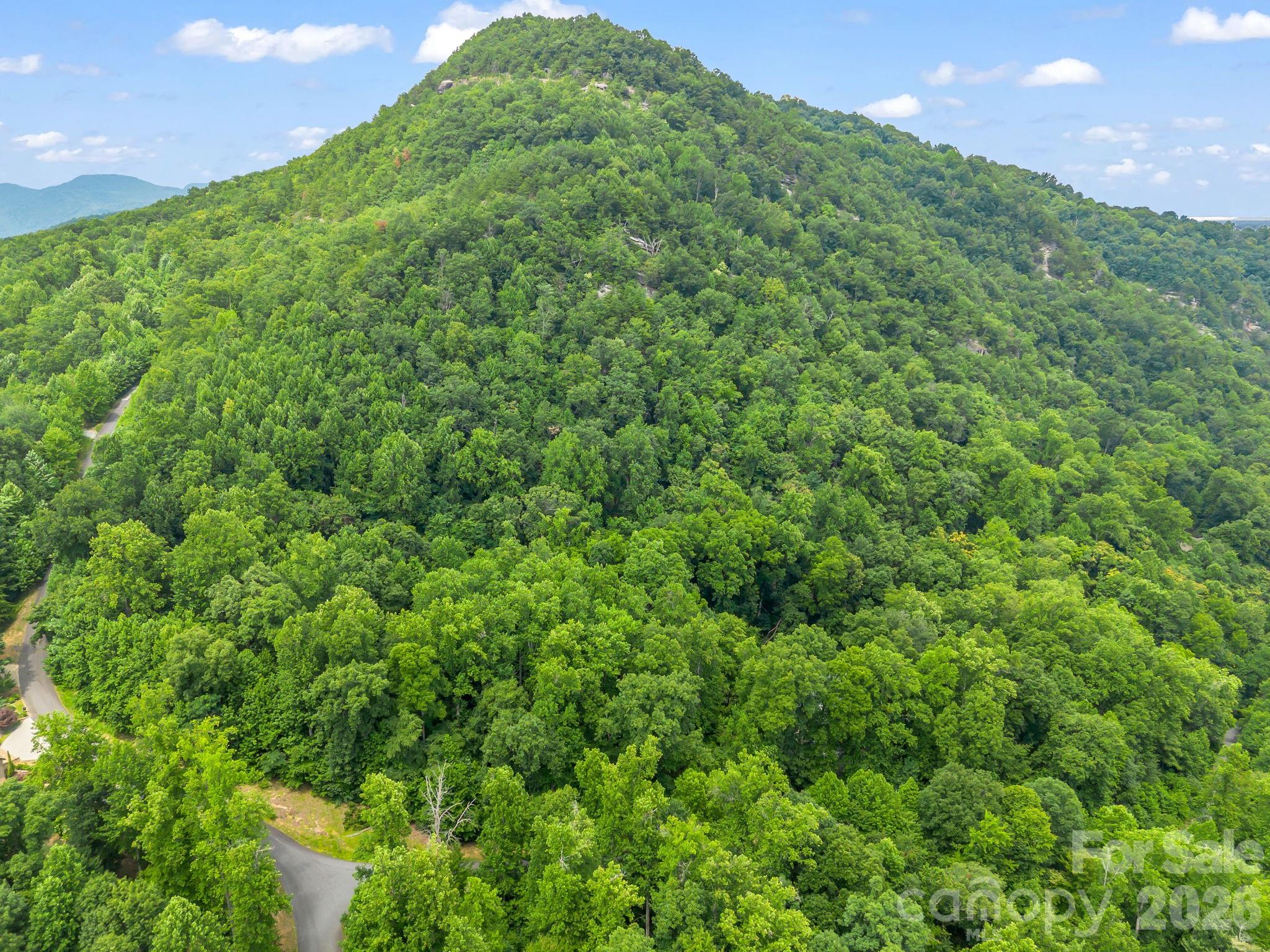 1st image of Lot 29 Matho Tr #29, Lake Lure, NC 28746 | MLS# 4403287