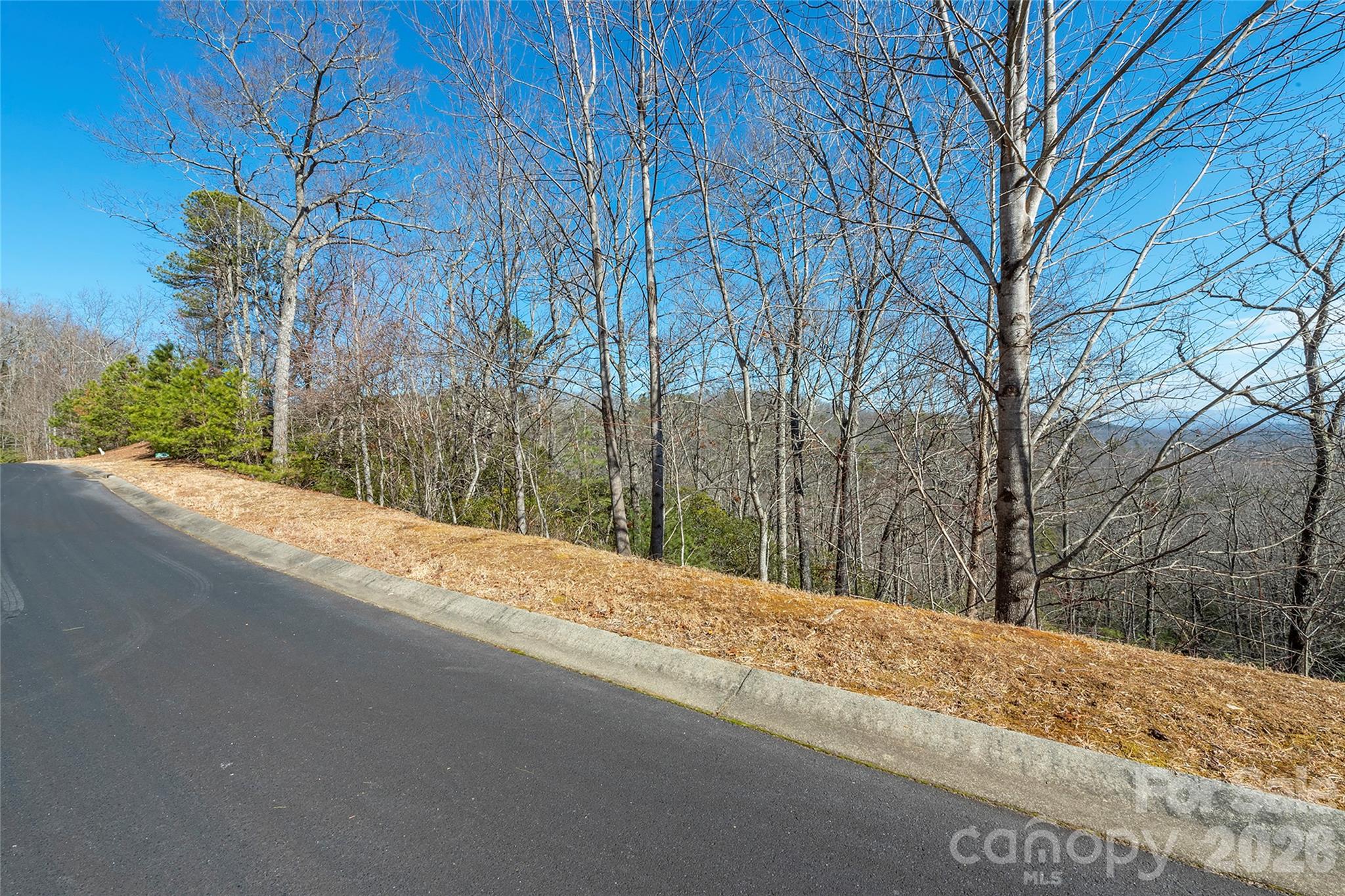 Homes for sale in Horse Shoe, NC | 99999 Mills River Wy #108, Horse Shoe, NC 28742 | MLS# 4403481
