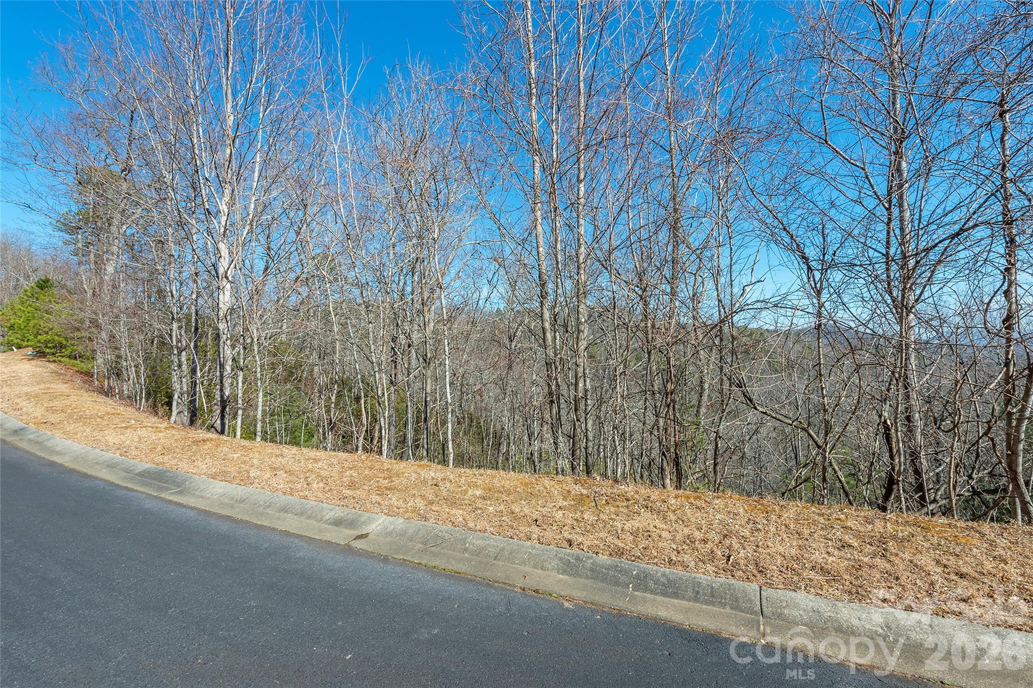 Homes for sale in Horse Shoe, NC | 99999 Mills River Wy #108, Horse Shoe, NC 28742 | MLS# 4403481