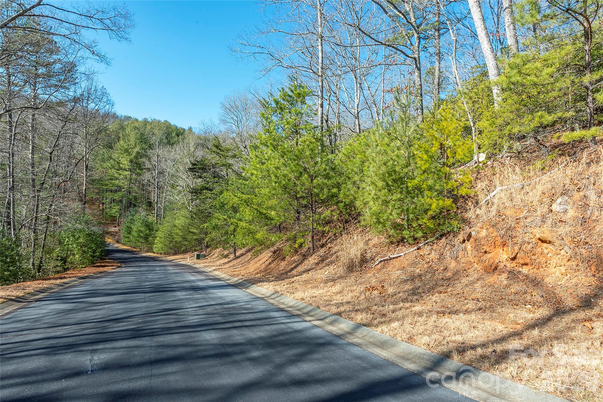 Homes for sale in Horse Shoe, NC | 99999 Caddis Ln #92, Horse Shoe, NC 28742 | MLS# 4403604