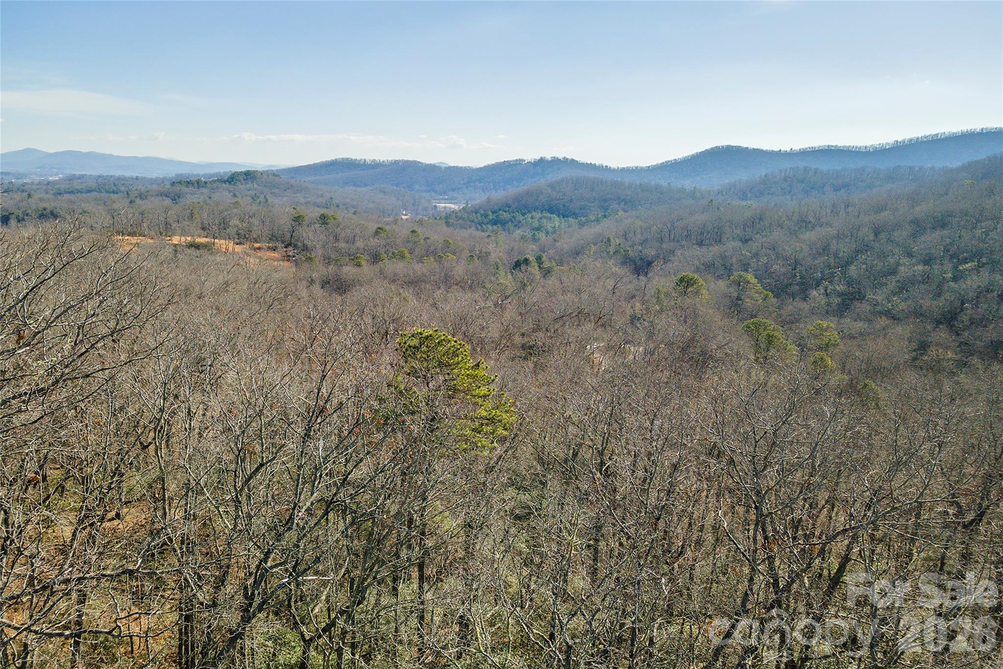 Homes for sale in Horse Shoe, NC | 99999 Caddis Ln #92, Horse Shoe, NC 28742 | MLS# 4403604