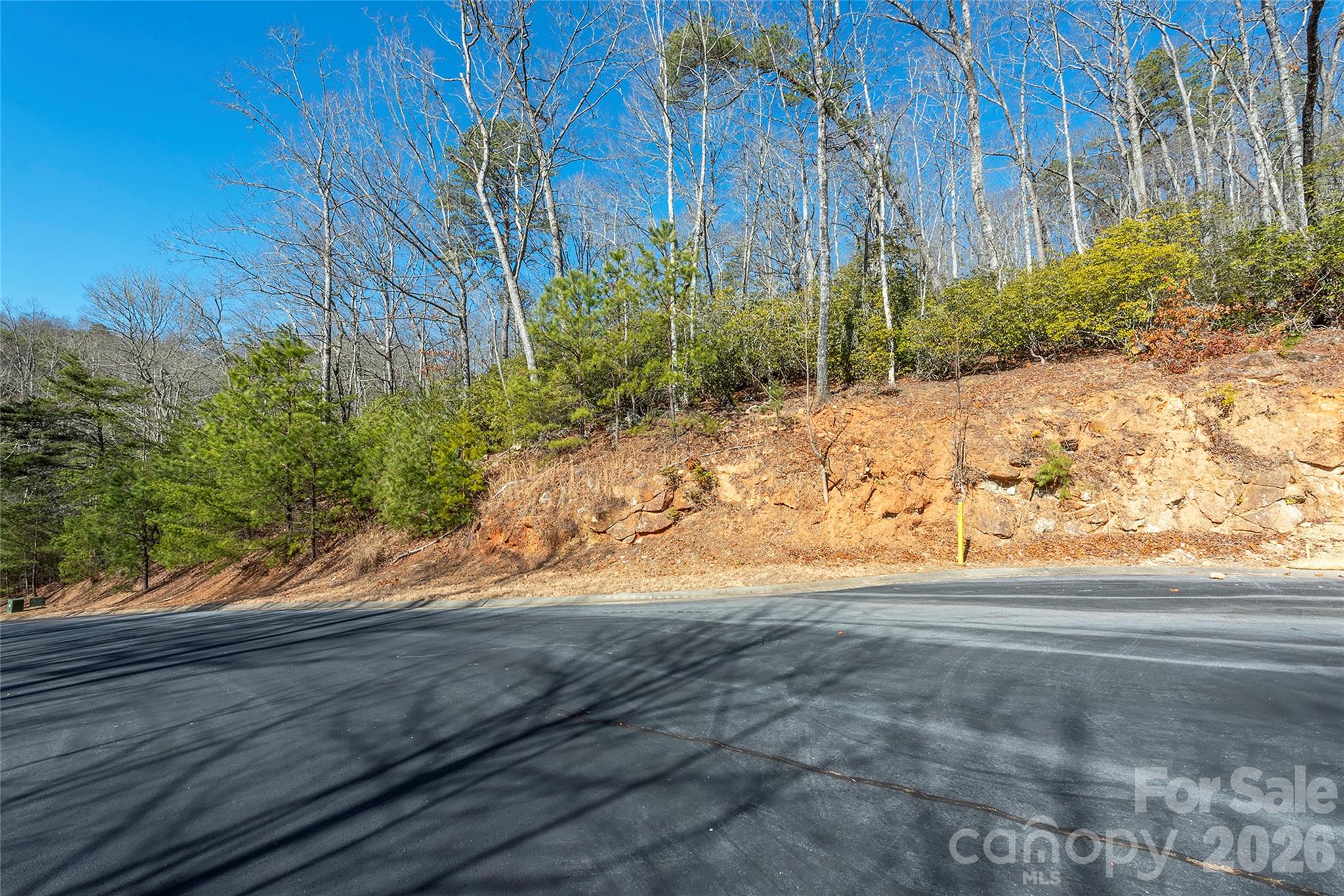 Homes for sale in Horse Shoe, NC | 99999 Caddis Ln #92, Horse Shoe, NC 28742 | MLS# 4403604