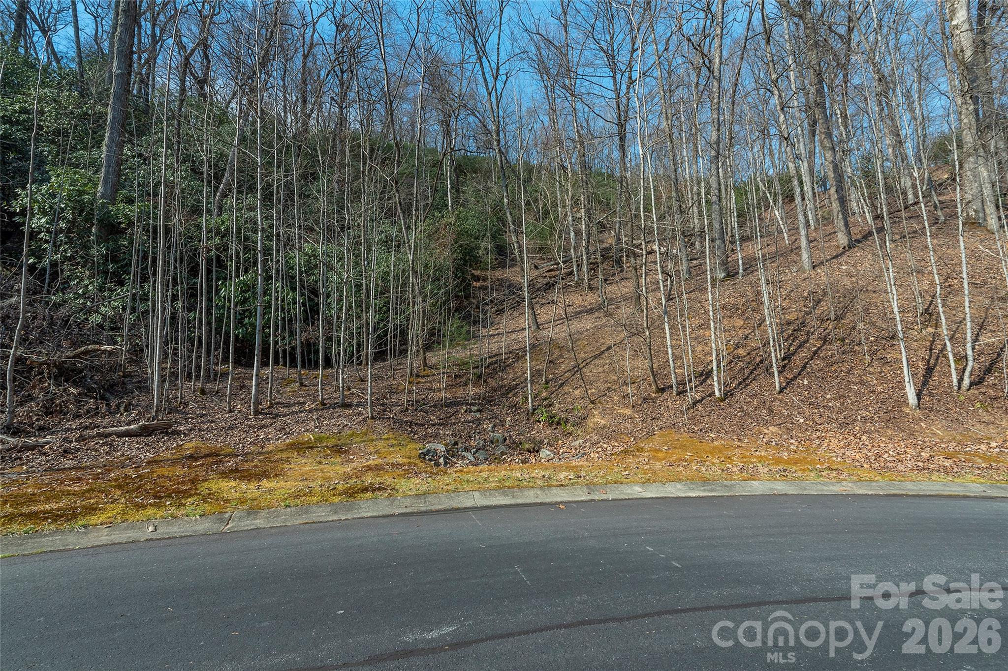 Homes for sale in Horse Shoe, NC | Lot 11 Shining Rock Path, Horse Shoe, NC 28742 | MLS# 4403672
