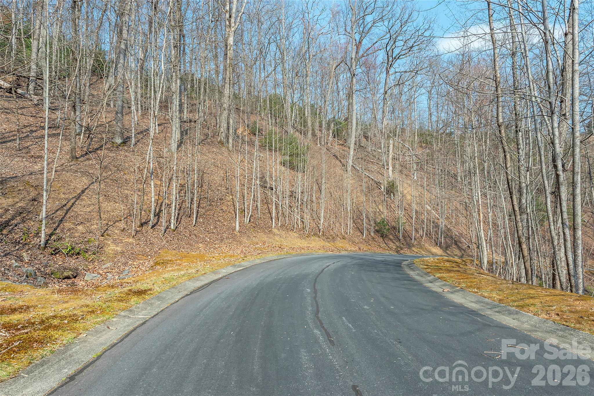 Homes for sale in Horse Shoe, NC | Lot 11 Shining Rock Path, Horse Shoe, NC 28742 | MLS# 4403672