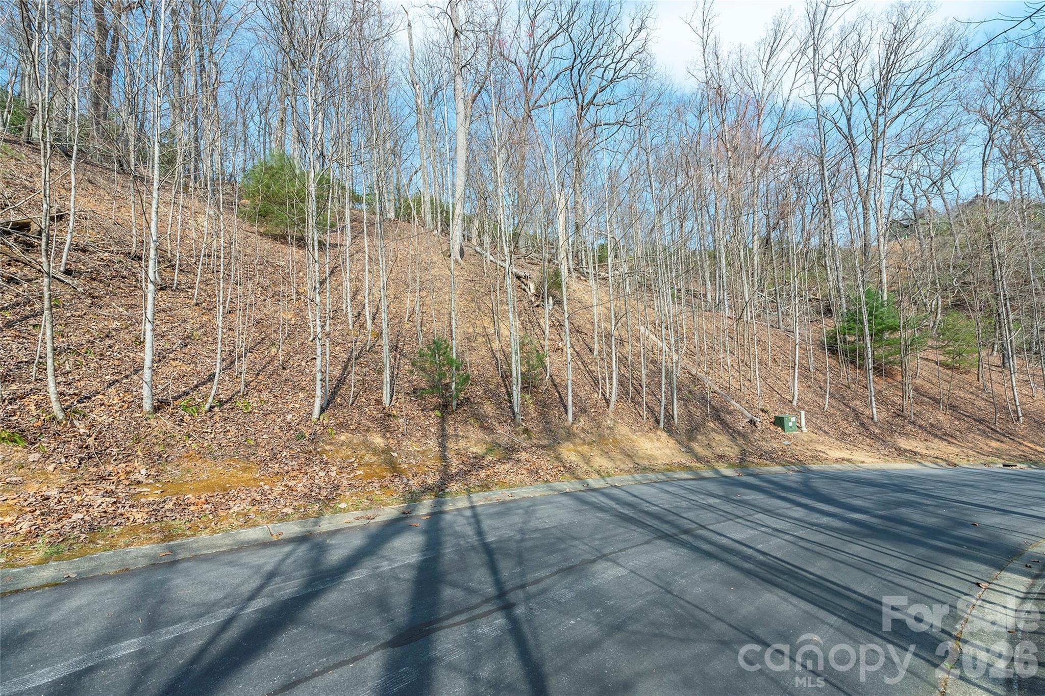 Homes for sale in Horse Shoe, NC | Lot 12 Shining Rock Path, Horse Shoe, NC 28742 | MLS# 4403679