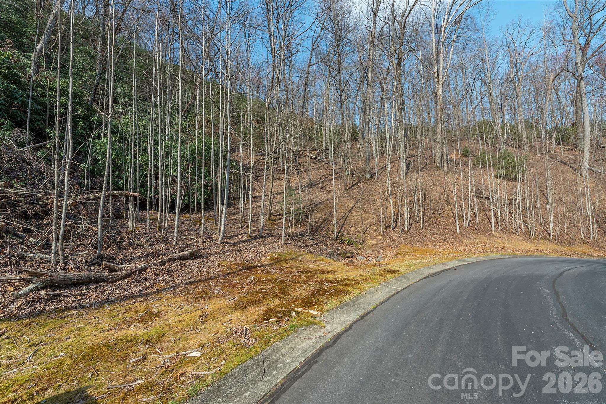 Homes for sale in Horse Shoe, NC | Lot 12 Shining Rock Path, Horse Shoe, NC 28742 | MLS# 4403679