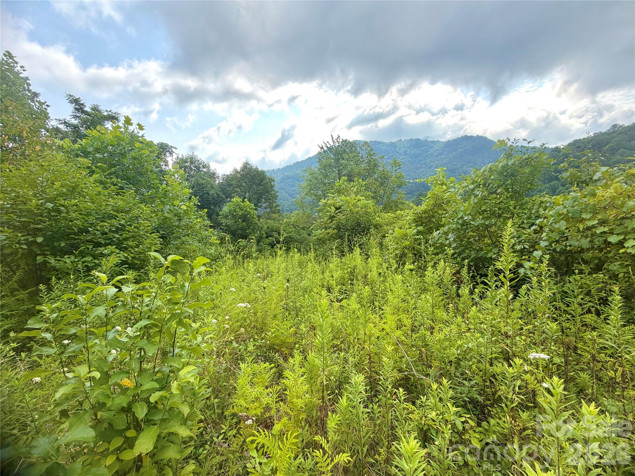 5th image of 00 Trillium Wy, Clyde, NC 28721 | MLS# 4403848