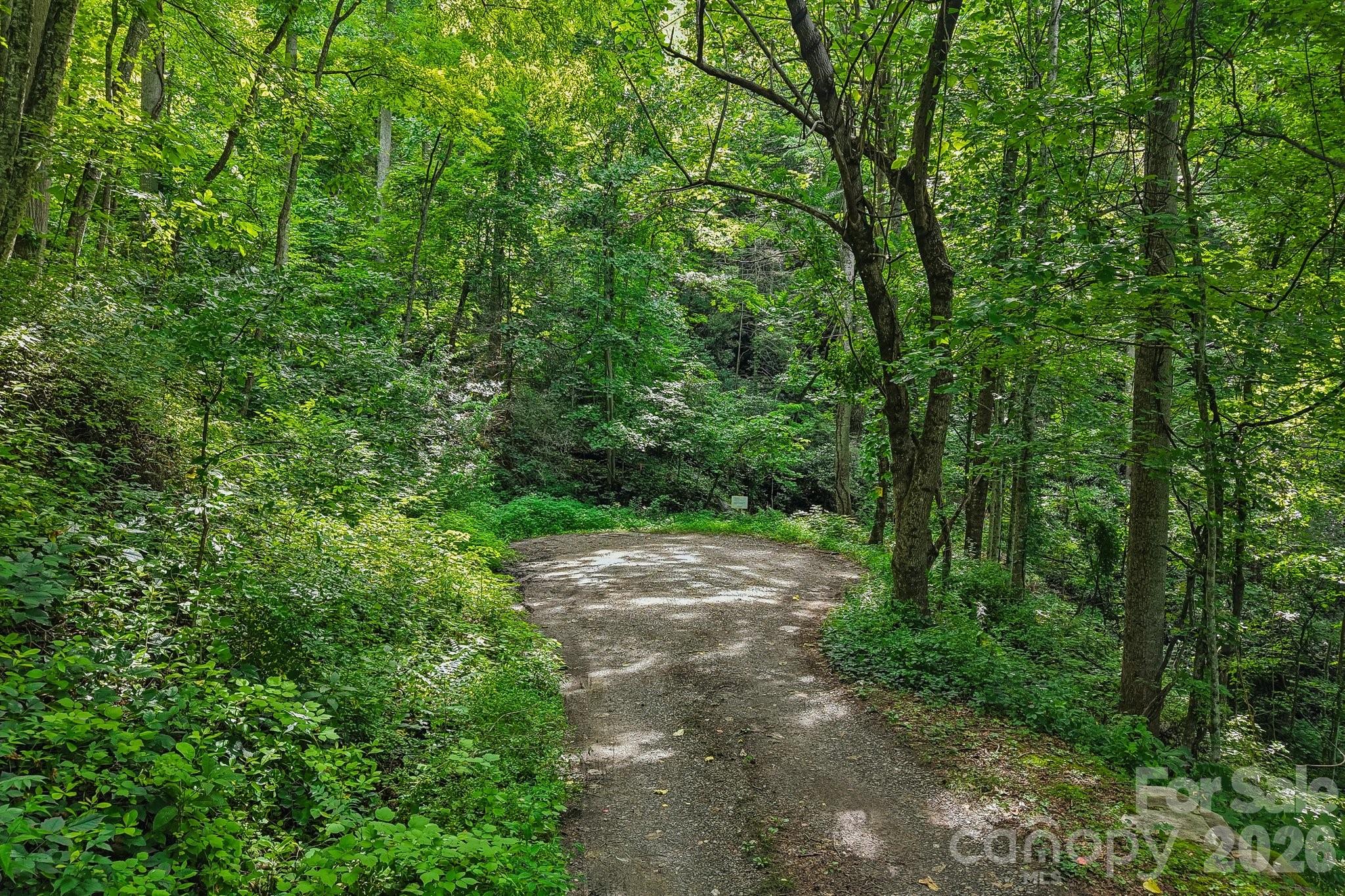 3rd image of Tbd Indian Falls Rd, Asheville, NC 28803 | MLS# 4403855