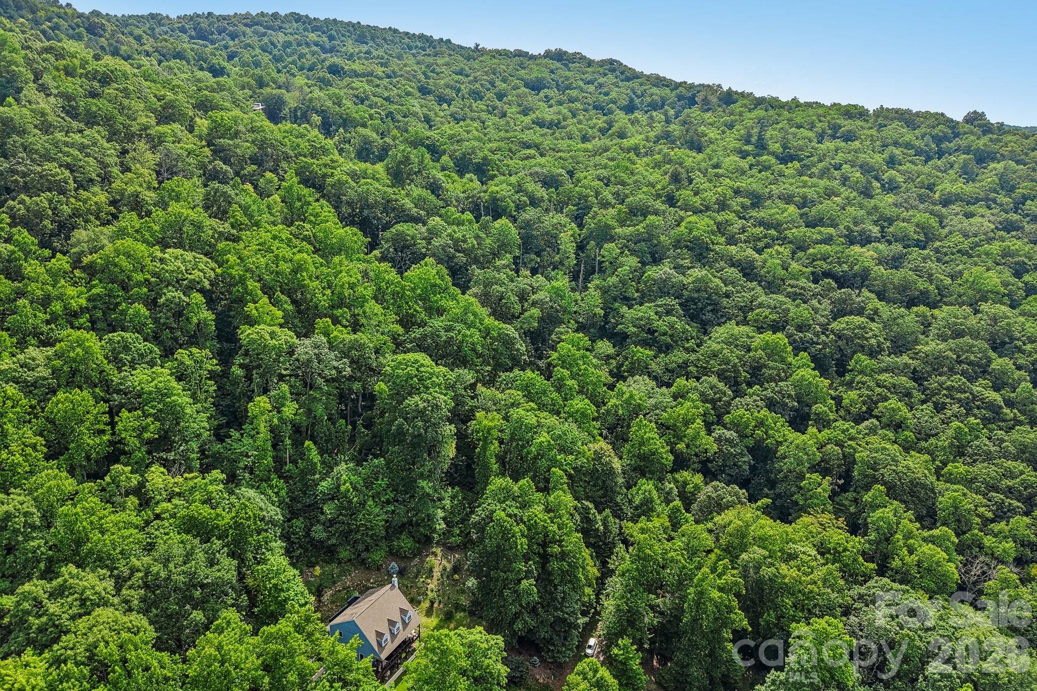 5th image of Tbd Indian Falls Rd, Asheville, NC 28803 | MLS# 4403855