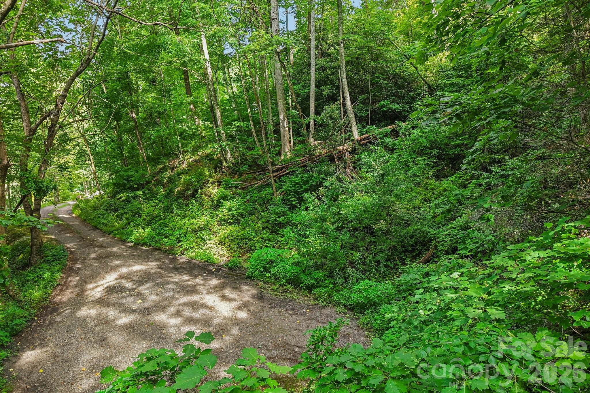 4th image of Tbd Indian Falls Rd, Asheville, NC 28803 | MLS# 4403855