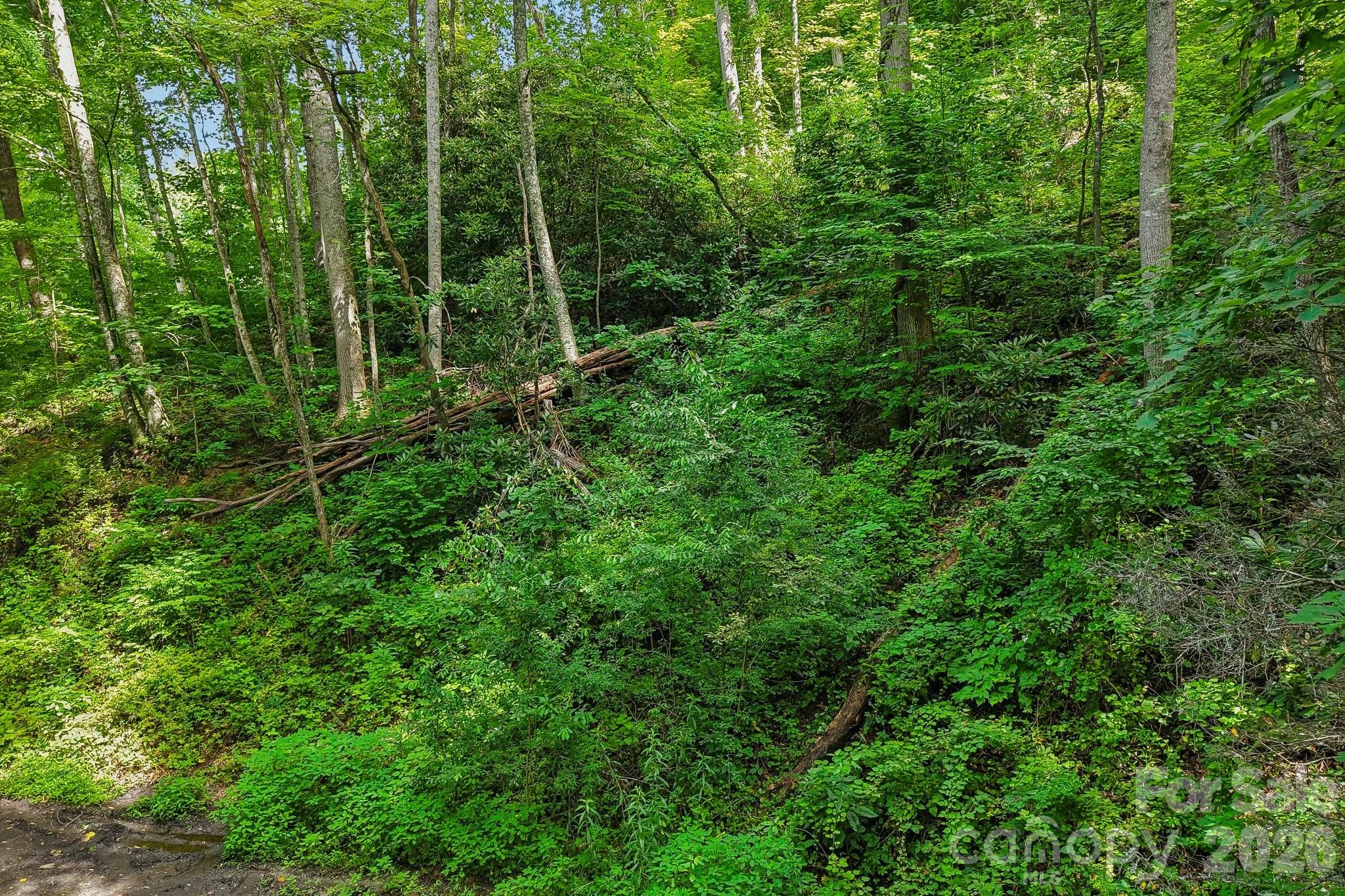 2nd image of Tbd Indian Falls Rd, Asheville, NC 28803 | MLS# 4403855