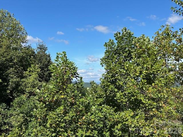 4th image of 0 Tahawus Dr, Bostic, NC 28018 | MLS# 4404047