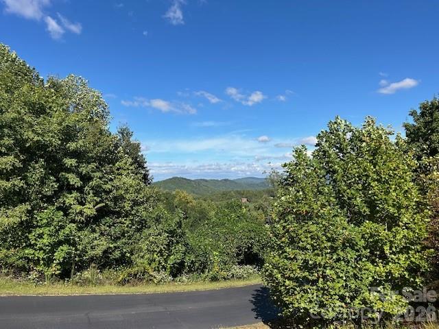 3rd image of 0 Tahawus Dr, Bostic, NC 28018 | MLS# 4404047