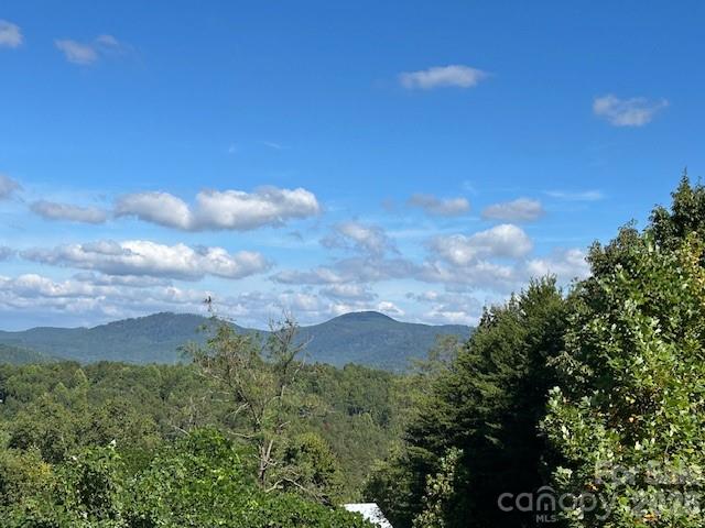 1st image of 0 Tahawus Dr, Bostic, NC 28018 | MLS# 4404047