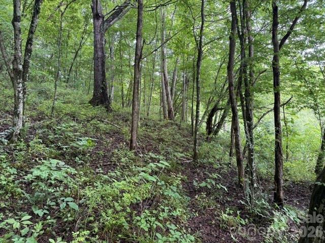 Homes for sale in Hot Springs, NC | Tbd Meadow Fork Rd, Hot Springs, NC 28743 | MLS# 4404338