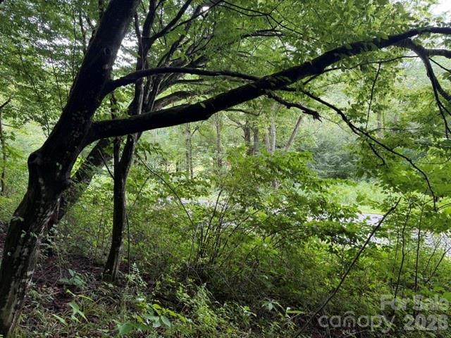 Homes for sale in Hot Springs, NC | Tbd Meadow Fork Rd, Hot Springs, NC 28743 | MLS# 4404338