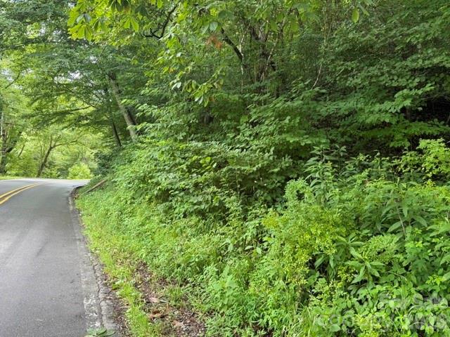 Homes for sale in Hot Springs, NC | Tbd Meadow Fork Rd, Hot Springs, NC 28743 | MLS# 4404338