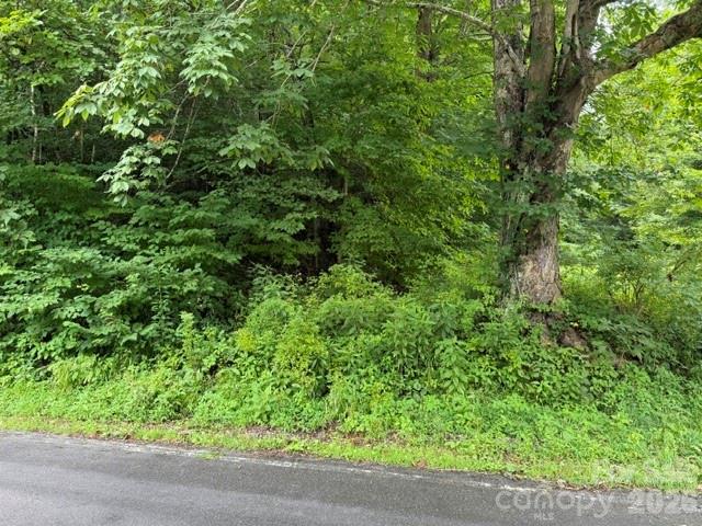 Homes for sale in Hot Springs, NC | Tbd Meadow Fork Rd, Hot Springs, NC 28743 | MLS# 4404338