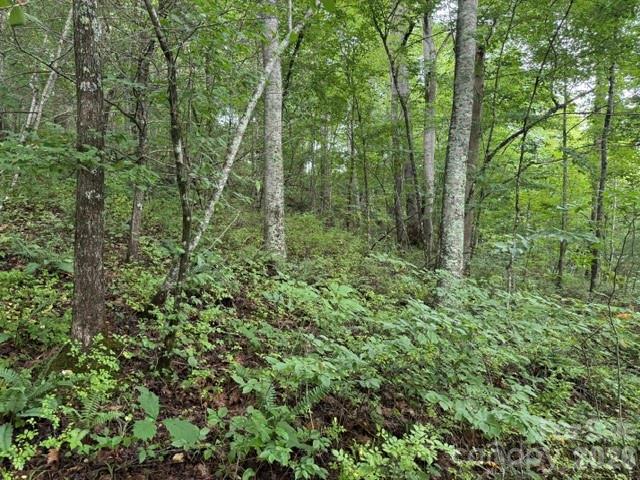 Homes for sale in Hot Springs, NC | Tbd Meadow Fork Rd, Hot Springs, NC 28743 | MLS# 4404338