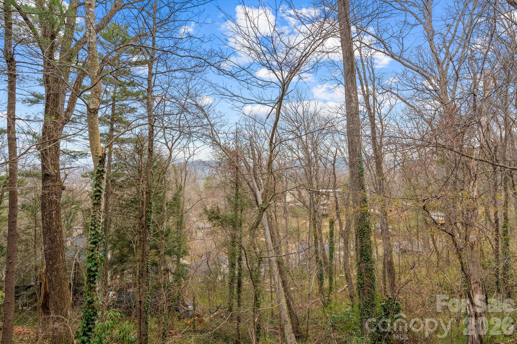 8th image of 99999 Sunset Dr, Asheville, NC 28804 | MLS# 4404363