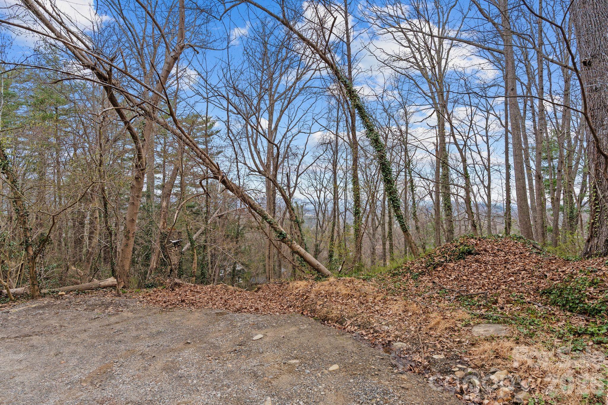 5th image of 99999 Sunset Dr, Asheville, NC 28804 | MLS# 4404363