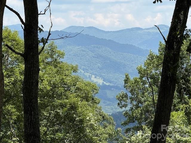 1st image of 110 Cabin Rdg #110, Clyde, NC 28721 | MLS# 4404376