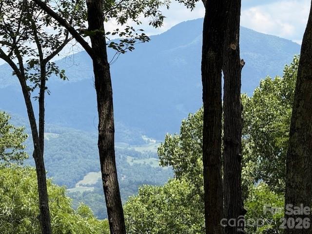 2nd image of 110 Cabin Rdg #110, Clyde, NC 28721 | MLS# 4404376