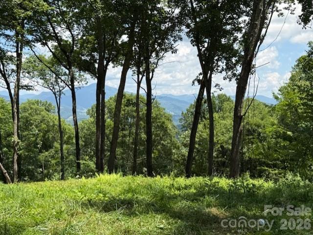 3rd image of 110 Cabin Rdg #110, Clyde, NC 28721 | MLS# 4404376