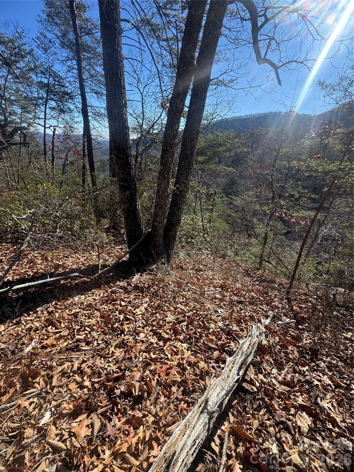 3rd image of 0 Laurel Branch Dr #20, Chimney Rock, NC 28720 | MLS# 4404527