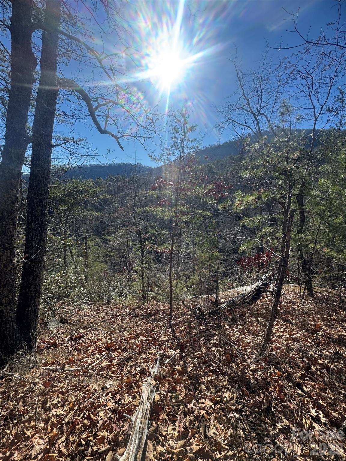 4th image of 0 Laurel Branch Dr #20, Chimney Rock, NC 28720 | MLS# 4404527