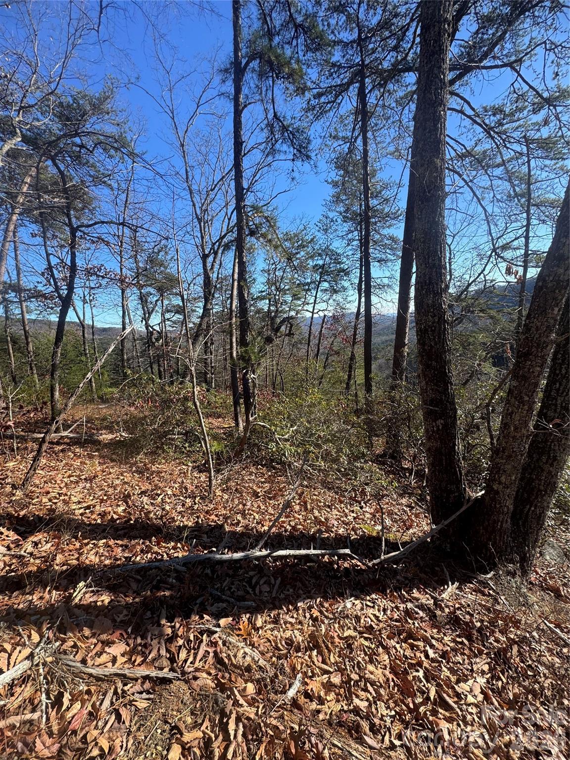 5th image of 0 Laurel Branch Dr #20, Chimney Rock, NC 28720 | MLS# 4404527