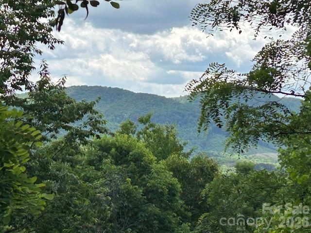 1st image of 0 Azule Dr, Bostic, NC 28018 | MLS# 4404557