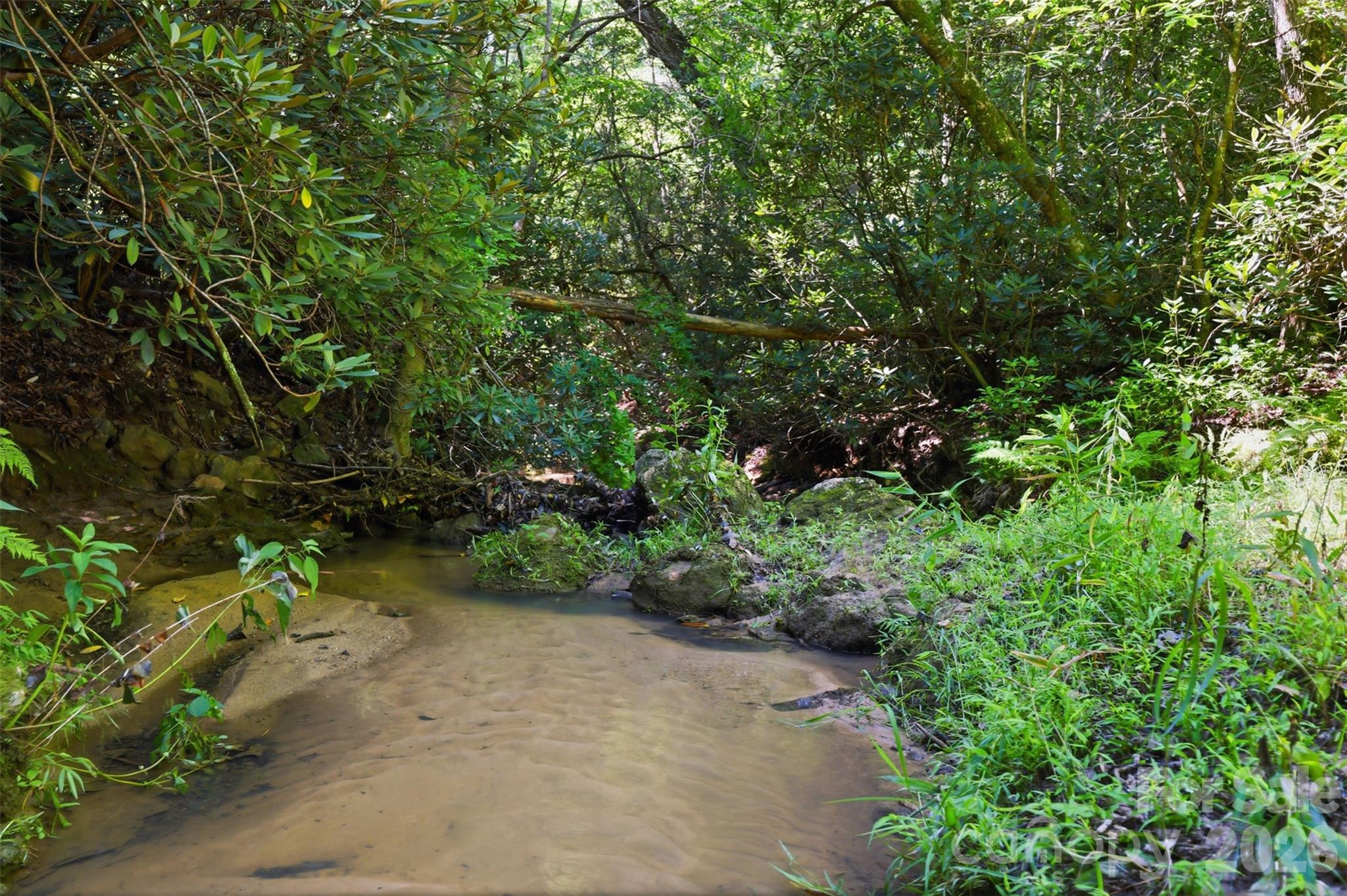 3rd image of 250 Millennium Dr, Taylorsville, NC 28681 | MLS# 4404695