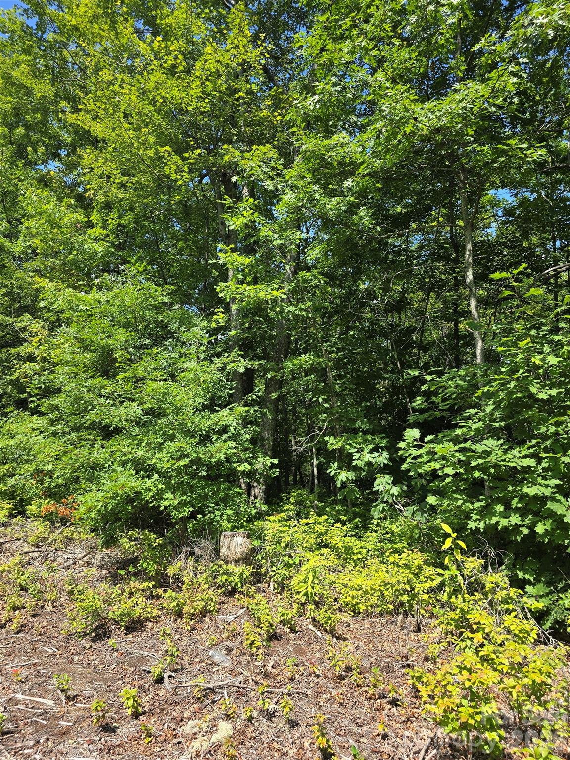 Homes for sale in Rosman, NC | 0000 Nancy Mountain Rd, Rosman, NC 28772 | MLS# 4404708