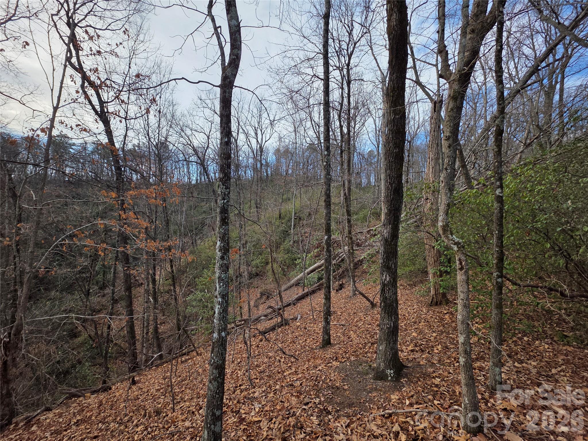 18th image of Lot 45 Ridgecrest Dr, Lake Lure, NC 28746 | MLS# 4404720